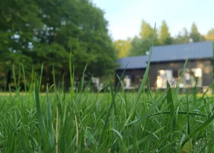 Komorebi Сasa de vacaciones *